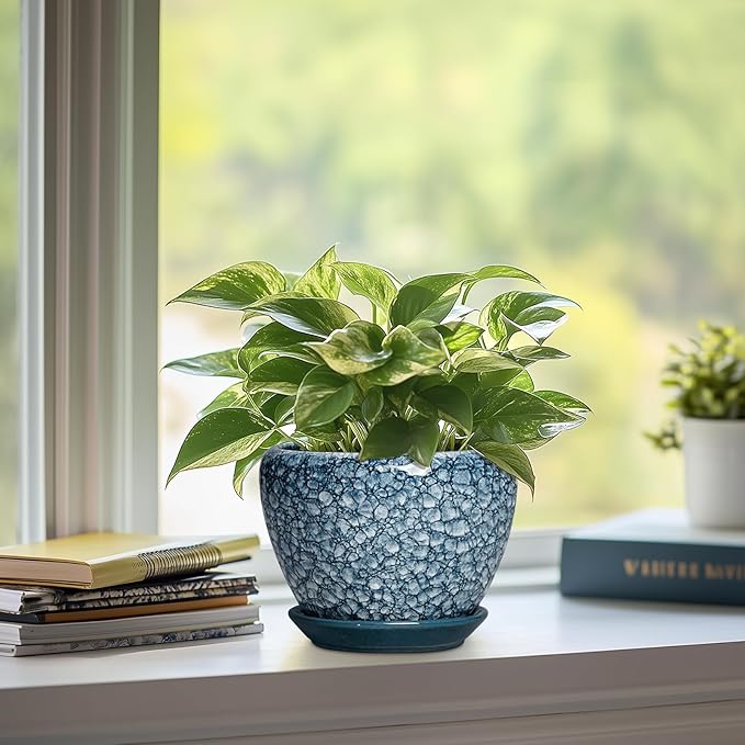 Ceramic Plant Pots - 6 Inch Planter with Drainage Hole and Tray, Decorative Plant Pots for Indoor Outdoor Plants, Round Modern Flower Pot, Home Decor, Gifts for Men Women, Stone Blue