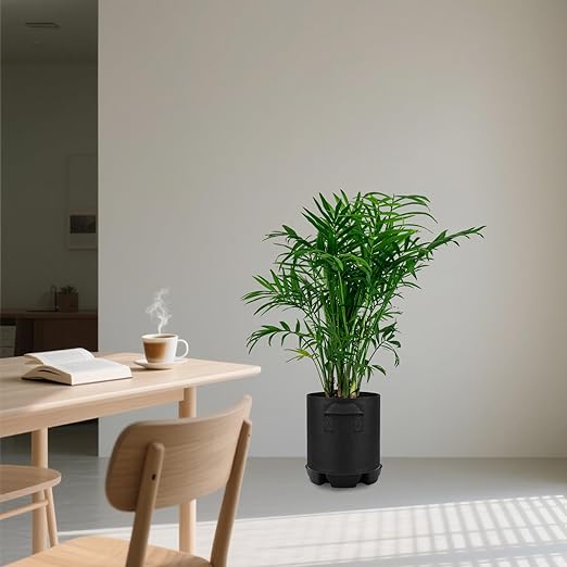 4pcs Auto Plant Watering Devices, Plastic Self-Watering Base with Cotton Fabric & Rope Automatic Autopots Water Planter Saucer Stand Trays for Greenhouse Indoors Grow Tents Grow Bags Accessories