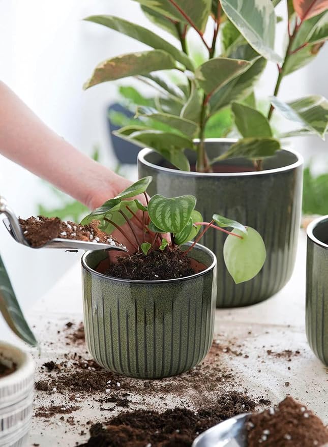 LE TAUCI Fluted Ceramic Pots for Plants, 8.3/7/6 Inch Indoor Planters with Drainage Holes & Mesh, Modern Glossy Glaze Cylinder Plant Pot for Snake Plant, Set of 3, Dark Olive