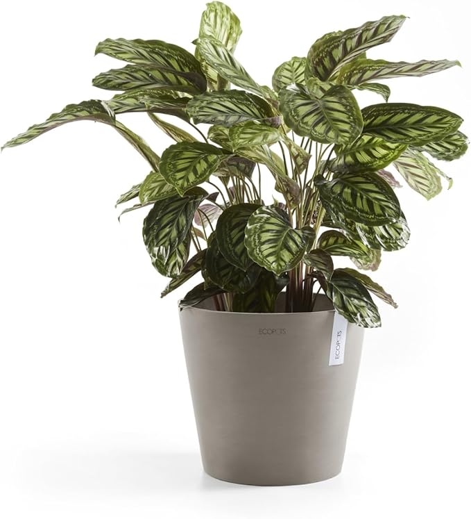 Ecopots Amsterdam Durable Modern Round Indoor/Outdoor Recycled-Based Composite Flower Pot Planter, Taupe, 12"