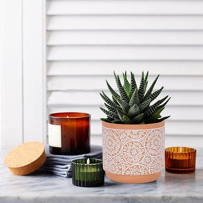 DeeCoo 3 Piece Ceramic Plant pots Indoor Flower Pots Set with Drainage Holes, 5.7/4.7/3.5/inch, Modern Decorative Flower (Red)
