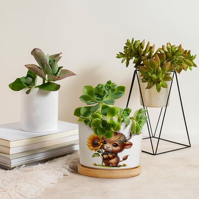 DreamAutumn Easter Highland Cow Planter Ceramic Round Plant Pots with Drainage Holes and Bamboo Tray Planting Small Flower Pots for Home Windowsill Desk Garden Indoor Outdoor Use