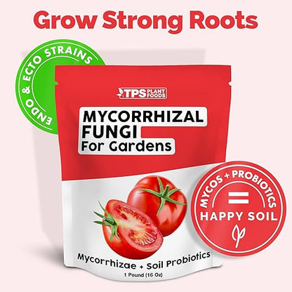 Mycorrhizal Fungi for Gardens – Mycos for Transplanting & Established Edible Plants, with Mycorrhizae and Soil Probiotics (16 oz)
