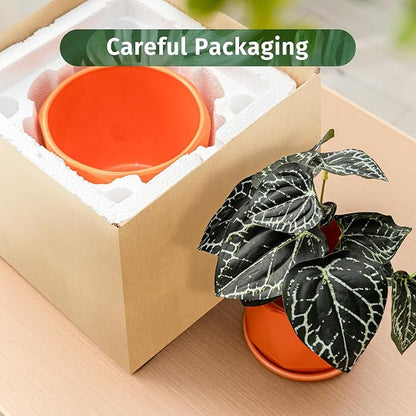 Ceramic Plant Pots, 6.7 + 5.3 + 3.9 Inch Octagon Pots for Plants, Flower Planters for Indoor with Drainage and Saucer Set of 3, Bright Orange