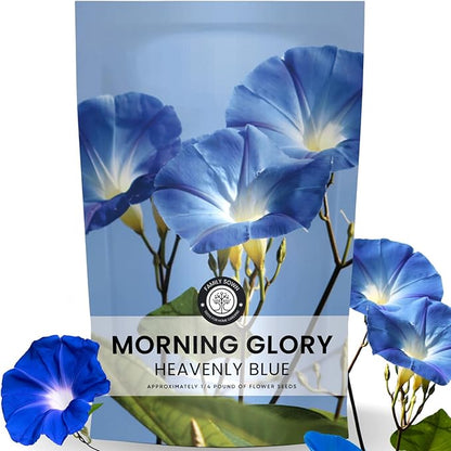 Morning Glory Heavenly Blue – 3,000 Seeds for Planting – 2026 Season – 4 Ounce Pouch