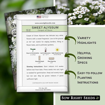 Sow Right Seeds - Sweet Alyssum White Carpet of Snow Flower Seeds for Planting - Non-GMO Heirloom Packet With Instructions to Plant in Your Garden - White Perennial - Groundcover With Blooms (2)