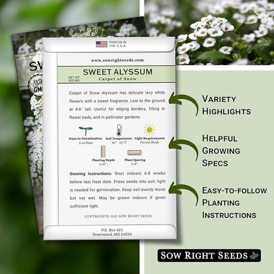 Sow Right Seeds - Sweet Alyssum White Carpet of Snow Flower Seeds for Planting - Non-GMO Heirloom Packet with Instructions to Plant in Your Garden - White Perennial - Groundcover with Blooms (4)