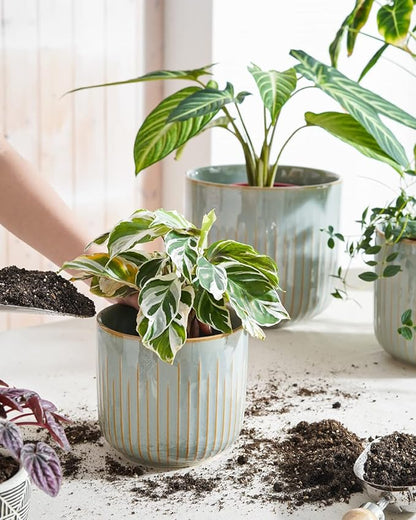 LE TAUCI Fluted Ceramic Pots for Plants, 8.3/7/6 Inch Indoor Planters with Drainage Holes & Mesh, Modern Glossy Glaze Cylinder Plant Pot for Snake Plant, Set of 3, Mist Gray