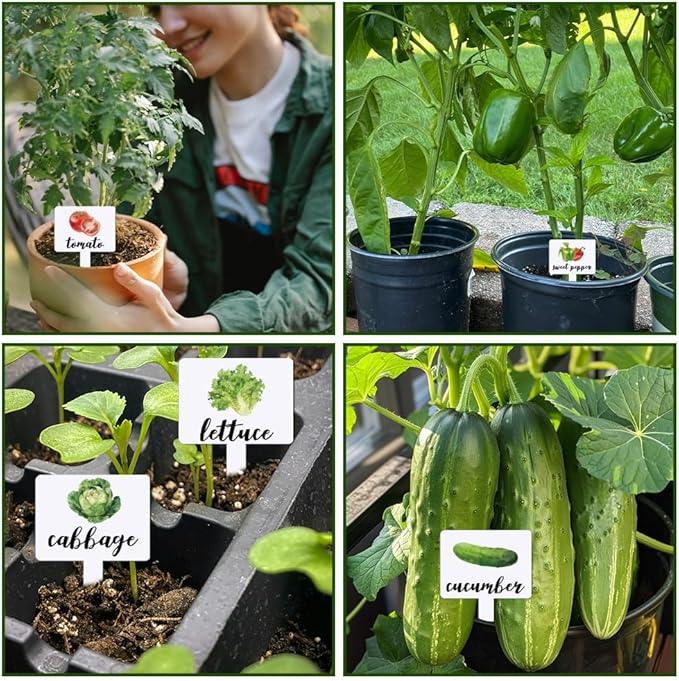 arricraft 15 Pcs Acrylic Vegetables Plant Labels, Potatoes Tomatoes Carrots Plant Markers with Handwriting Name Clear Garden Tags Sign for Seed Potted Farm Supplies Garden Gift 4x2.67inch(10.2x6.8cm)