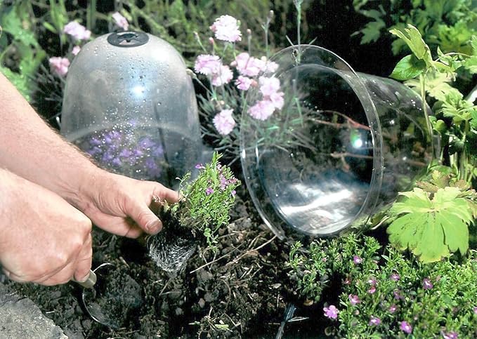 Tierra Garden 50-1110 Haxnicks Victorian Bell Plant Protector, Baby, 3-Pack