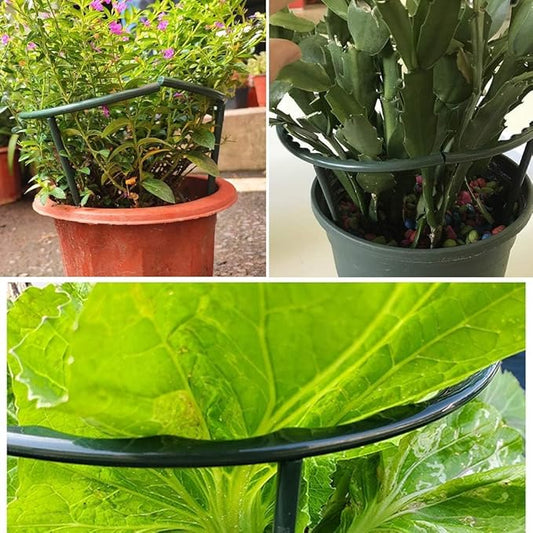 Mwellewm 10 Pack Plant Support Plant Stakes Metal Half Round Search Support Ring Small Plastic Cage Holder Short Stem Flower Pot Climbing Trellis for House Flower Vegetable Indoor Leafy(5.7 x 9.8inch)