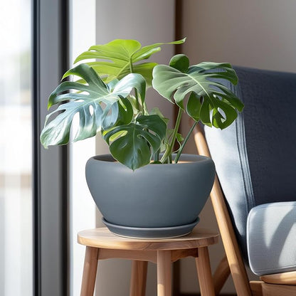 Ceramic Plant Pot - 11 Inch Planter for Indoor Plants Large Plant Pot with Drainage Hole and Saucer Round Outdoor Planter Modern Flower Pot for Home Decor Gray