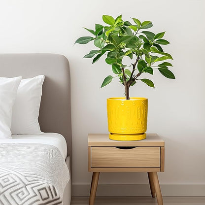 6 Inch Pots for Plants, Ceramic Pots for Plants with Drainage Holes and Tray, Round Planter for Indoor Outdoor, Modern Plant Pot, Decorative Flower Pot, Table Decor, Teacher Gift, Yellow