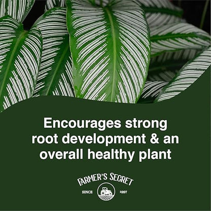 Farmer's Secret Calathea Liquid Plant Food Fertilizer (8oz) - Super Concentrated - 6:5:3 Ratio - Promotes Growth and New Shoots