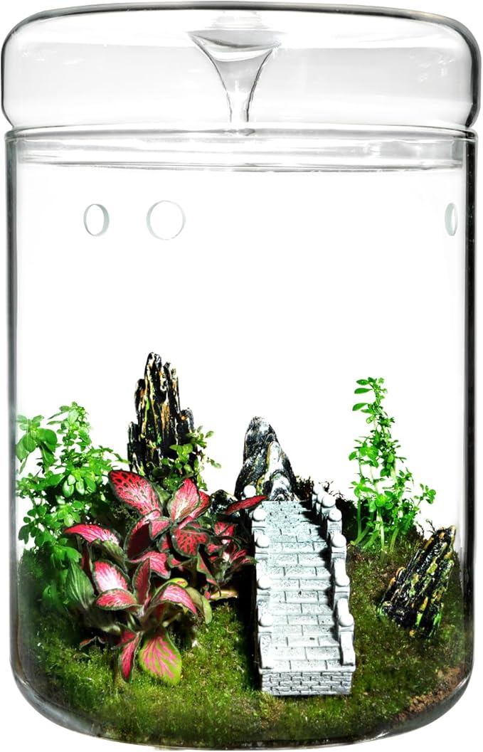 Small Glass Terrarium Jar with Lid – 4.7 x 7 Inch Closed Plant Terrarium for Succulents, Moss, Venus Fly Trap & Self-Sustaining Ecosystems – Ideal Indoor Decor for Home & Tabletop