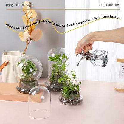 WHJY 6 inches Glass Cloche for Indoor Plants Small Terrarium Glass Cloche with Base Mini Cloche Dome with Base for Display Home Decor