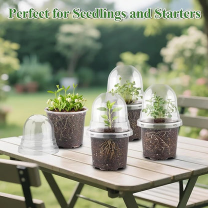 60 Pack Clear Nursery Pots with Humidity Domes, 4 Inch Plastic Plant Pots with Drainage Holes for Seedlings, Transparent Seed Starting Pot for Cuttings Propagation Indoor Gardening