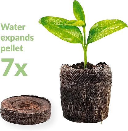 100 Count- Jiffy 36 MM Peat Soil Pellets Seeds Starting Plugs: Indoor Seed Starter- Start Planting Indoors for Transplanting to Garden and SUPERthrive Plant Vitamin Solution with Kelp, 4 Oz.