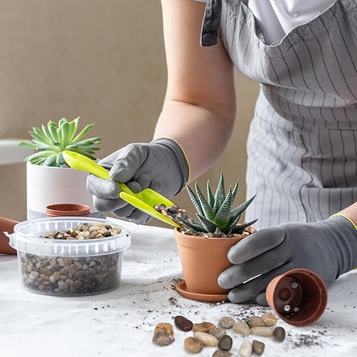 5 lbs Pebbles for Indoor Plants, Succulent, Bamboo, Vase, 3/8" Plant Rocks for Pots Indoor, Small River Rocks Decorative Pea Gravel, Highly Polished