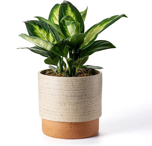 Self Watering Ceramic Planter: 8 Inch Plant Pot with Drainage Hole & Water Storage Plus for Outdoor & Indoor Plants, Succulents, Herbs - Flower Pot for Home or Office Decor - Brush