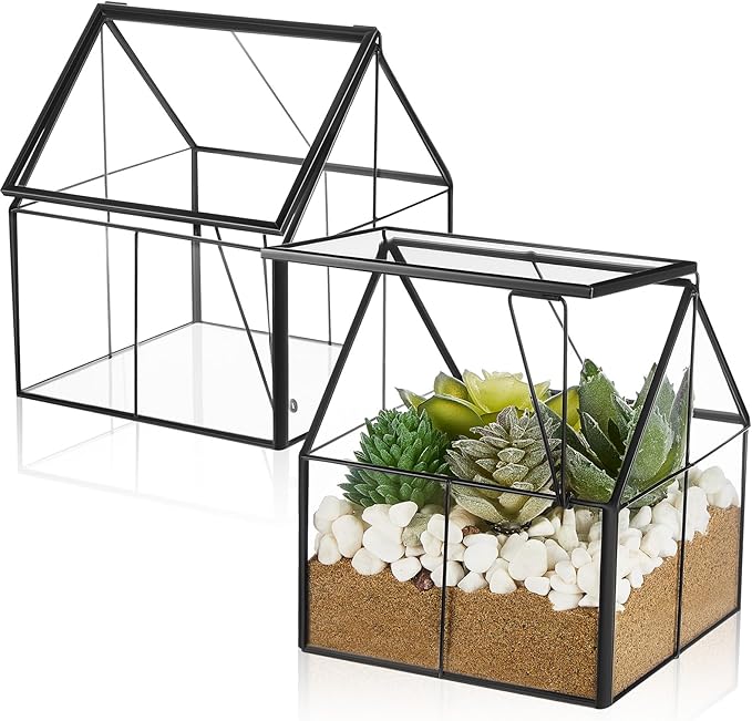 2 Pcs Mini Glass Terrarium Planter with Lid 5 x 4.3 x 4.3'' Small Greenhouse Terrarium Jar Glass Container Pot Tabletop Succulent Small Cacti Air Plant Planter for Indoor Home Garden Office Decor