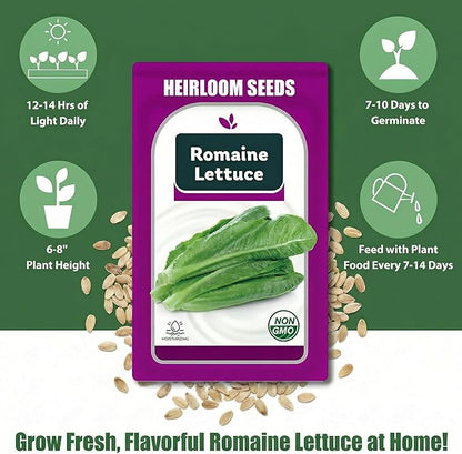 Romaine Seed Pods Kit for Hydroponics, 12 Pods Grow Anything Kit for Indoor Hydroponics Growing System, Hydroponics Supplies with 12 Grow Sponges, 12 Plant Baskets, 12 Pod Domes and Labels
