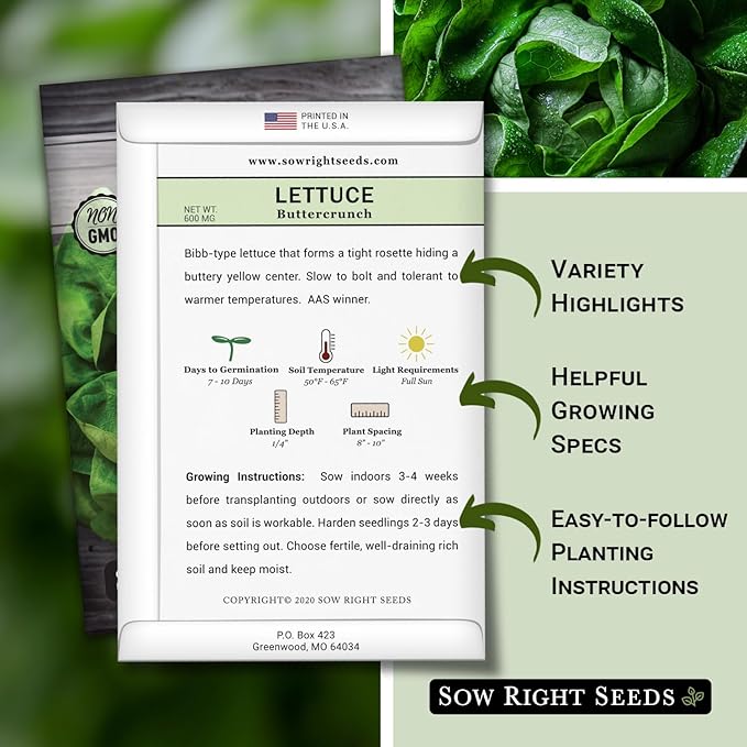 Sow Right Seeds - Buttercrunch Lettuce Seeds for Planting - Non-GMO Heirloom Packet with Instructions to Plant a Home Vegetable Garden - Outdoors or Hydroponics Indoors - Heat Tolerant Variety (4)