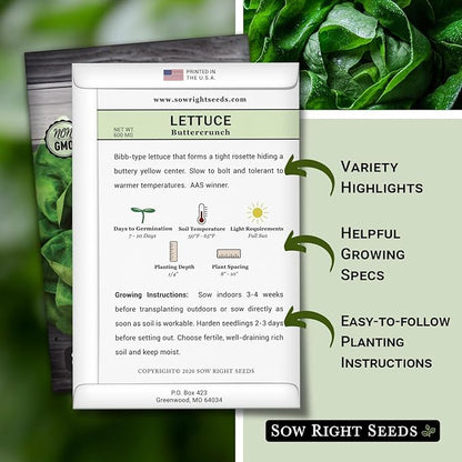 Sow Right Seeds - Buttercrunch Lettuce Seeds for Planting - Non-GMO Heirloom Packet with Instructions to Plant a Home Vegetable Garden - Outdoors or Hydroponics Indoors - Heat Tolerant Variety (2)