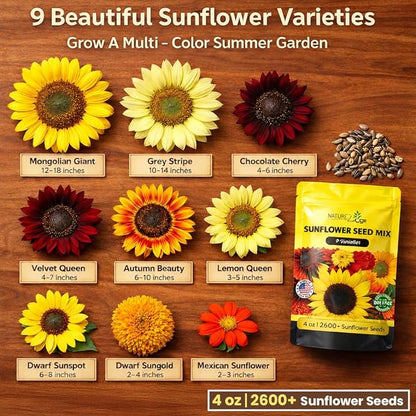 NatureZ Edge 2600+ Sunflower Seeds for Planting Bulk Variety Pack, Get More Sunflower Seeds to Plant, from Dwarf Sunflowers to Giant Sunflower Seeds, Includes Mammoth Sunflower Seeds, Non-GMO