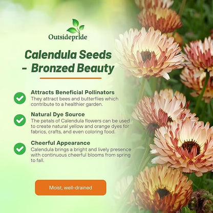 Outsidepride Bronzed Beauty Calendula Seeds - 100 Pcs Annual Edible Flower Seeds for Planting for Dishes & Wellness Uses, with Vibrant Blooms for Cut Flower, Container, & Pollinator Gardens