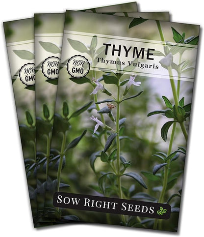 Sow Right Seeds - Thyme Seed for Planting - Non-GMO Heirloom Packet with Instructions for Easy Planting Your Kitchen Herb Garden - Indoor or Outdoor - Great for Hydroponics Growing - Culinary Herb (3)
