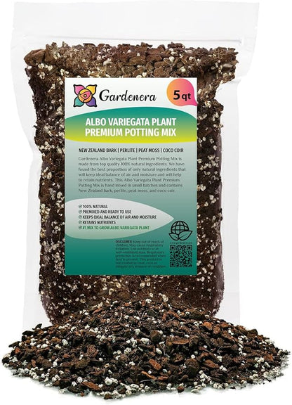 GARDENERA Albo Variegata Soil Mix - Promotes Strong Root Growth and Retains Moisture - 5 Quart