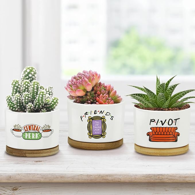 3 Pcs Friends tv Show Cute Merchandise Ceramic Plant Pots,Funny Friends Decor Themed Gifts for Women,for House Plants Garden Planters Succulent Pots(Not Included Plants)
