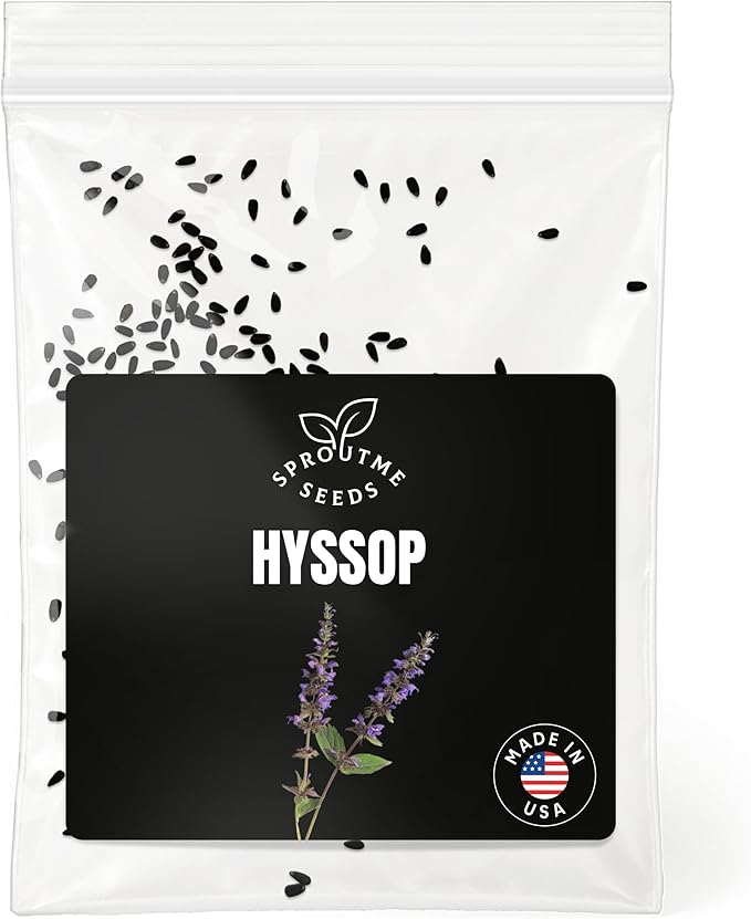 Hyssop Seeds for Planting – 150+ Non-GMO Heirloom Seeds, Blue Flowering Culinary Herb for Home Gardens (Hyssopus officinalis)