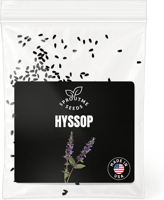 Hyssop Seeds for Planting – 150+ Non-GMO Heirloom Seeds, Blue Flowering Culinary Herb for Home Gardens (Hyssopus officinalis)
