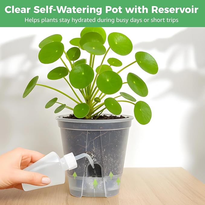 OMISTAR 9 PCS Self-Watering Pot with Reservoir, 3 Sizes Clear Plastic Plant Pots with Air and Drainage Holes, Indoor and Outdoor Flower Planters for Home Office, Healthy Root Growth
