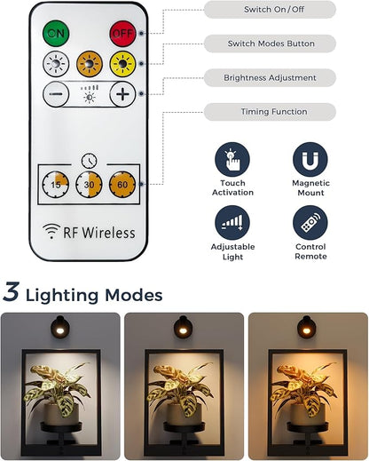 Bamworld Hanging Planters for Indoor Plants Wall Decor Living Room Plant Stand Indoor Wall Planters Plant Hanger Window Plant Shelves 3-Packs with Lights