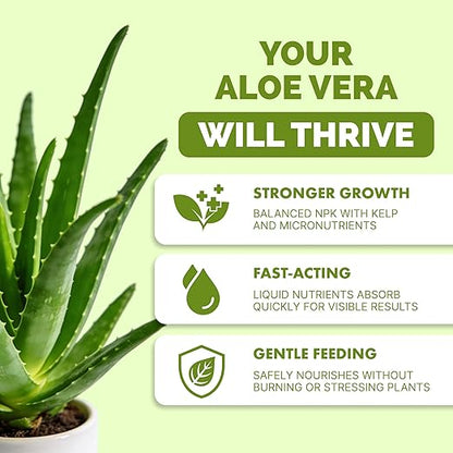 Aloe Vera Fertilizer for All Aloe and Succulent Plants, Liquid Plant Food, 32 oz (1 Quart)
