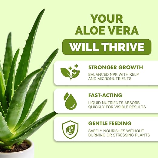 Aloe Vera Fertilizer for All Aloe and Succulent Plants, Liquid Plant Food 8 oz (250mL)
