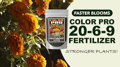 Fertilizer Commercial Grade | Color Pro 20-6-9 | 5 Ounces | Custom Professional Mix Blend | Controlled Release for Annuals & Groundcovers | 6 Month Nutrition | Balanced NPK Formula with Micronutrients
