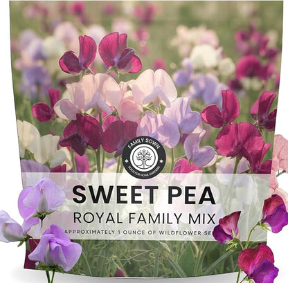 Sweet Pea Royal Family Mix – 250 Seeds for Planting – 2026 Season – 1 Ounce
