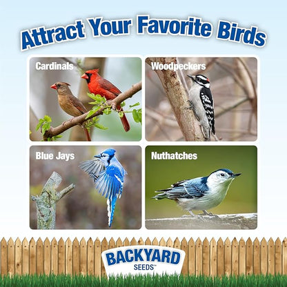 CountryMax Backyard Seeds Cardinal Frenzy Bird Seed Mix 30lbs - Premium Black Oil Sunflower & Safflower, Two Medium Bags of Wild Bird Food