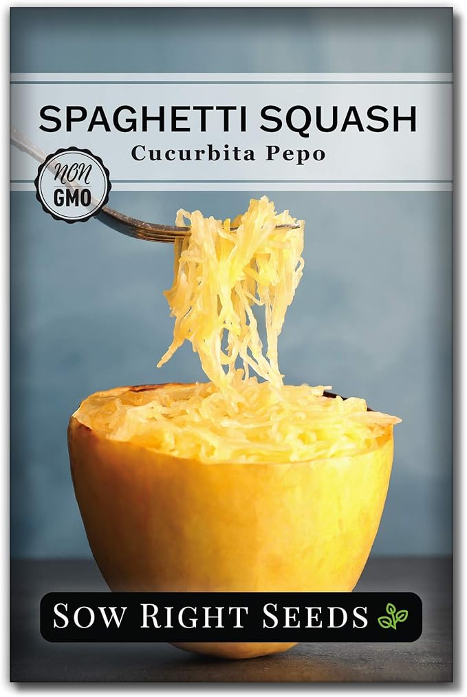 Sow Right Seeds - Spaghetti Squash Seeds for Planting - Non-GMO Heirloom Packet with Instructions to Plant and Grow an Outdoor Home Vegetable Garden - Roast and Enjoy Eating This Favorite Variety (1)
