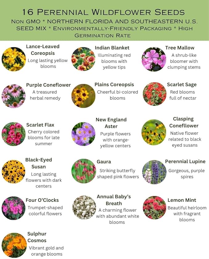 Northern Florida Bulk Perennial Wildflower Seed Mix 1lb Covers 2,000sq-ft - Attract Pollinators, Multi-Color Blooms - Southeast US Species Plant in Spring/Fall, Earth-Friendly Packaging (1/2 Pound)