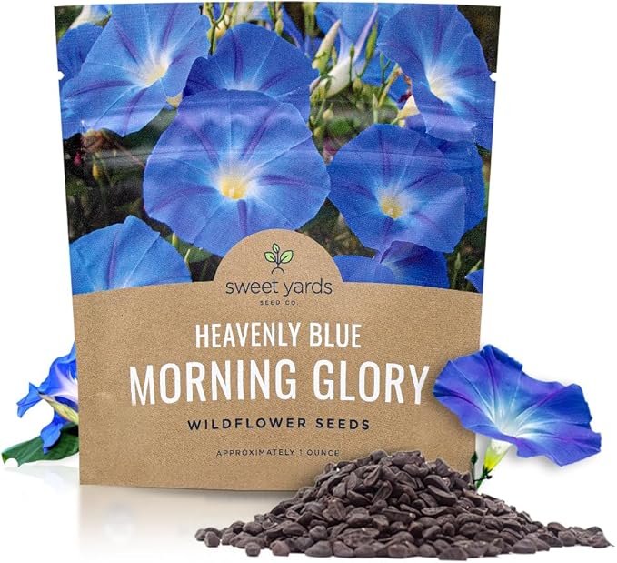 Morning Glory Seeds Heavenly Blue - Large 1 Ounce Packet - Over 1,000 Flower Seeds