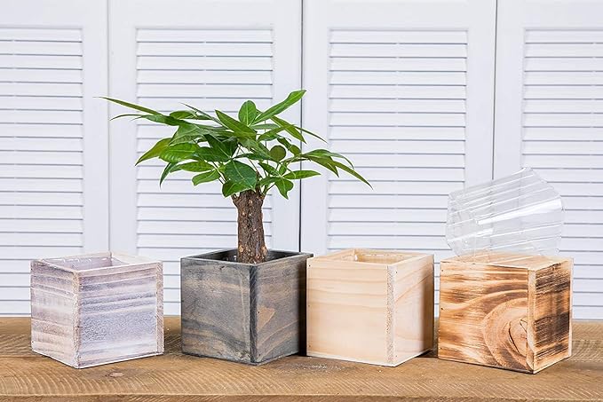 Clear Plastic Liner Inserts for Wood Boxes and Planters (5”x 5.75”) (Sell in Pack of 12) (to fit Square 6" Planter) (L060606)