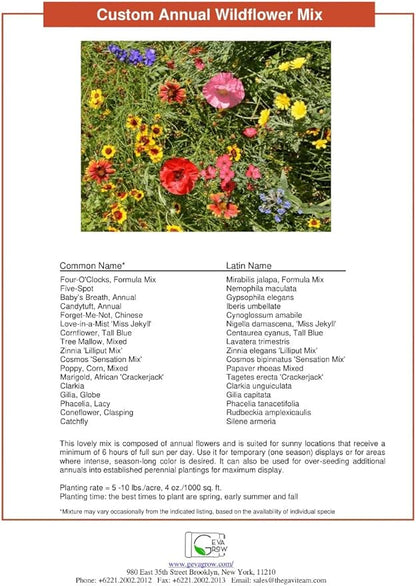 Wildflower Seed Shaker – Annual Mix by GevaGrow | 17 Variety Flower Seeds for Planting in Pots & Outdoor Gardens, Bulk 300,000+ Seeds - 1 Pound Tub