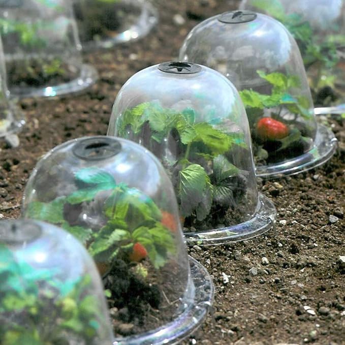 2pcs Plant Dome Garden Cloche Dome Plant Bell Protector Cover Plastic Protector Mini Insulation Cover Plastic Mini Greenhouse Clear