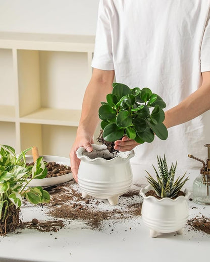 Ceramic Planter, 2 Piece Ceramic Planter Set with Drainage Hole for Home and Office, Indoor Plant Potting, Suitable for Succulents, Bonsai, Snake Grass and Money Tree, etc. (White)