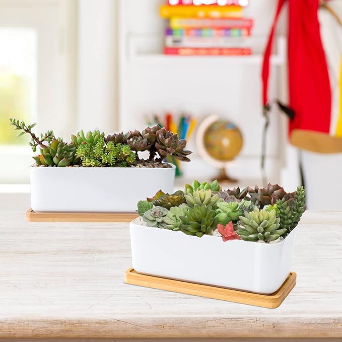 White Ceramic Succulent Planters, Indoor and Outdoor Succulent Planters, Set of 2 Small Cactus Containers, Bonsai Pots, Flower Pots with Drainage Hole and Bamboo Bowl (No Plant)
